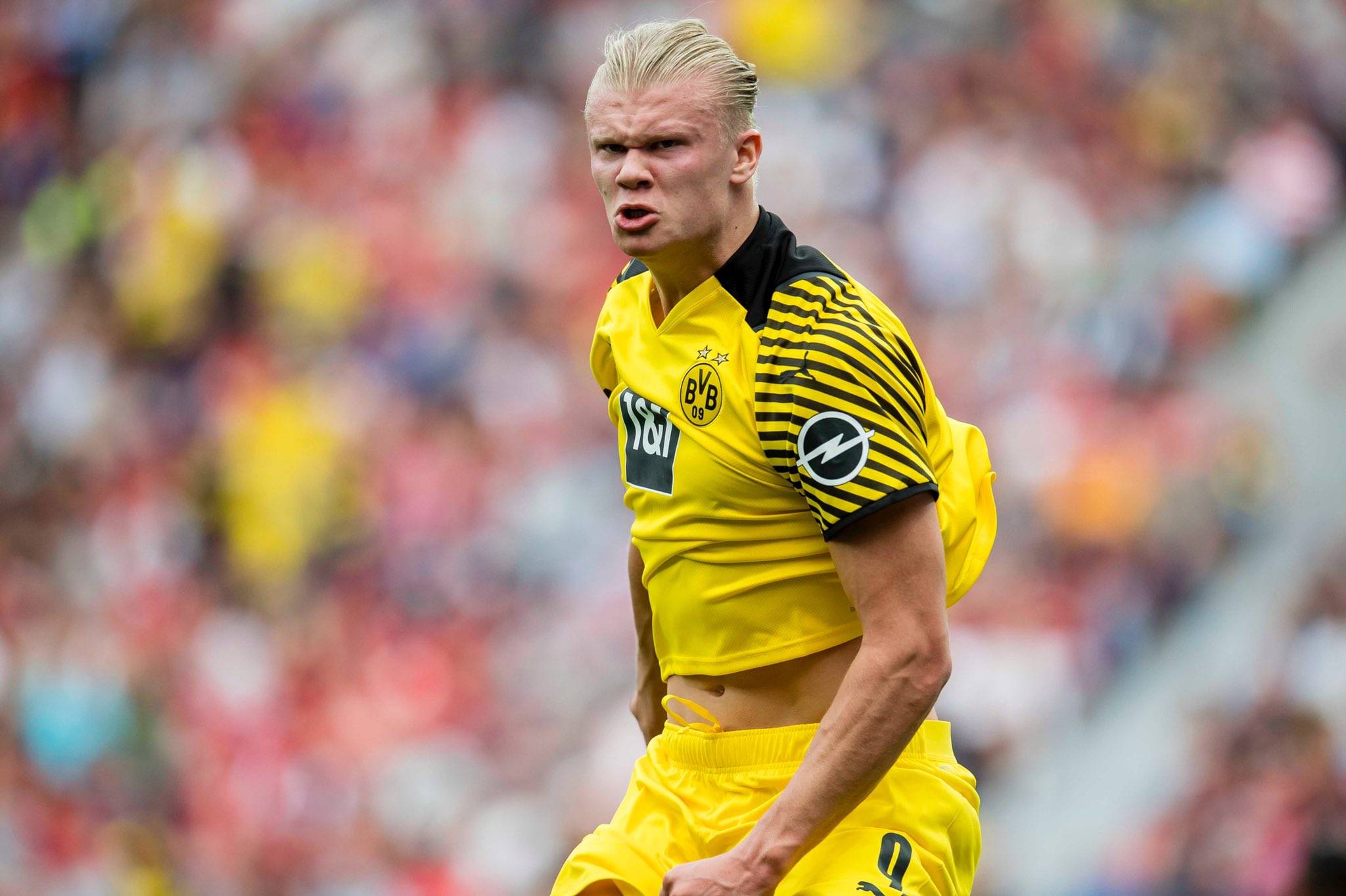 总有人黑C罗“跳水”？毛剑卿：这也是门艺术，跳得好叫艺术